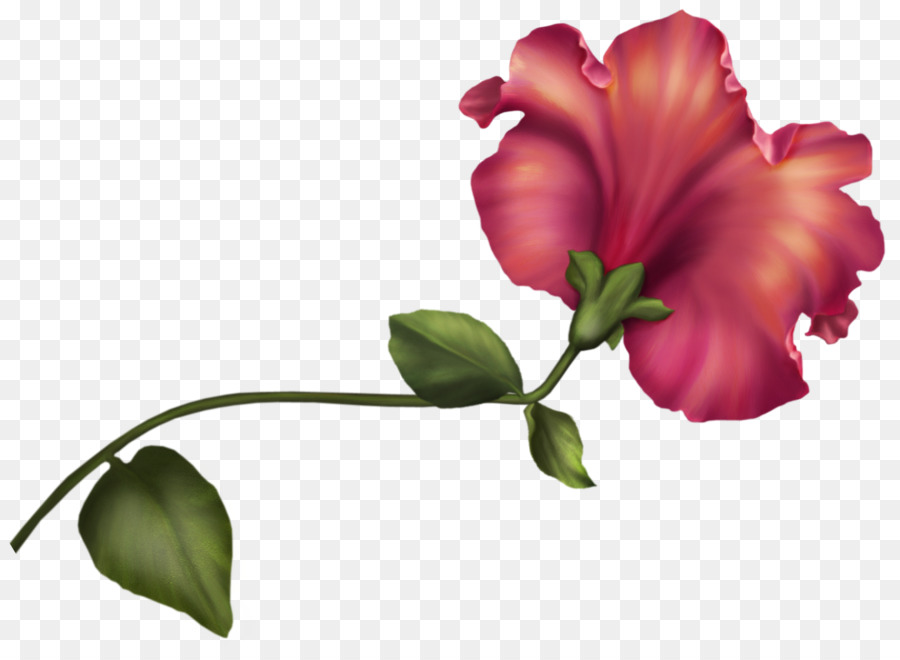 Fleurs Roses，Fleurs PNG