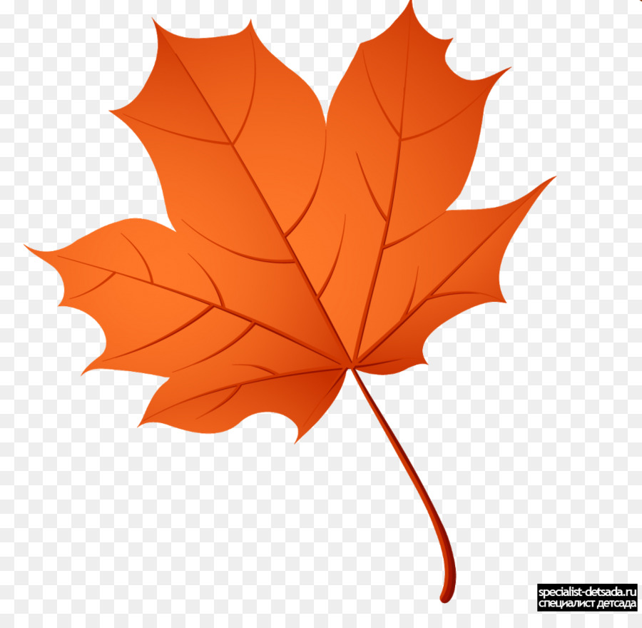 Feuille Rouge，Automne PNG