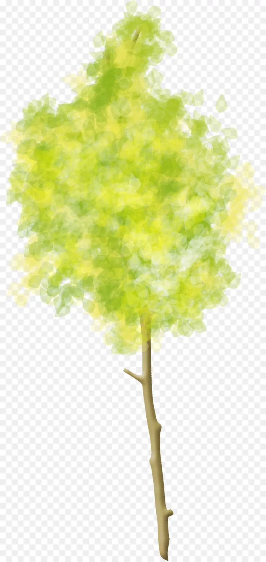 Illustration De L'arbre Vert，Arbre PNG