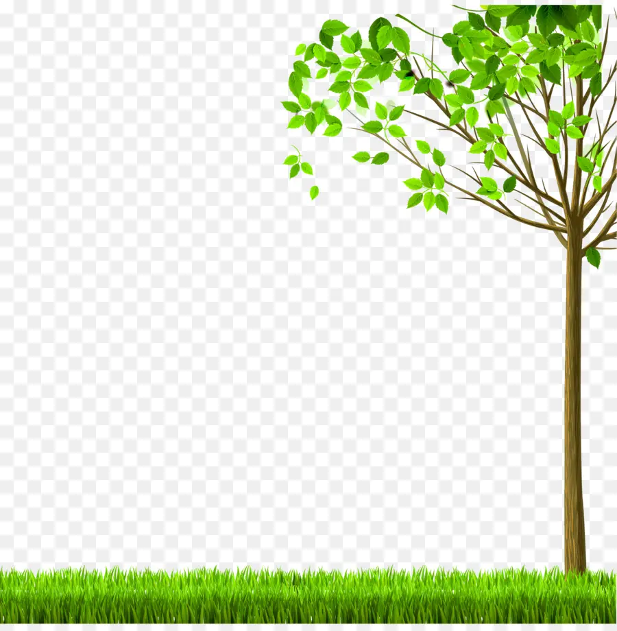 Petits Arbres，Plantes PNG