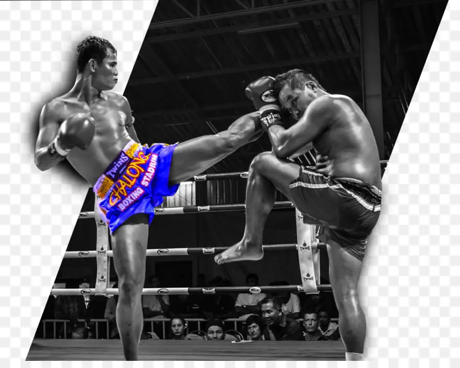 Combattants De Muay Thai，Arts Martiaux PNG