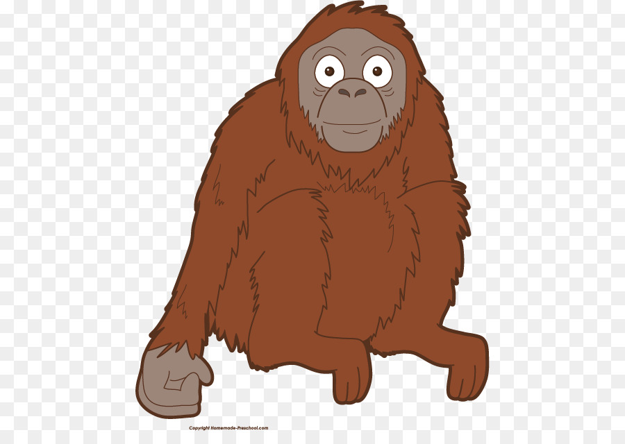 Gorille，Singe PNG