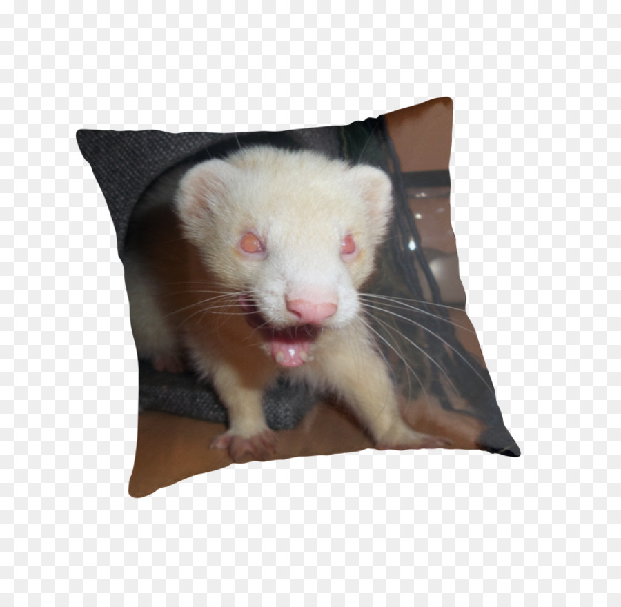 Furet，Rat PNG