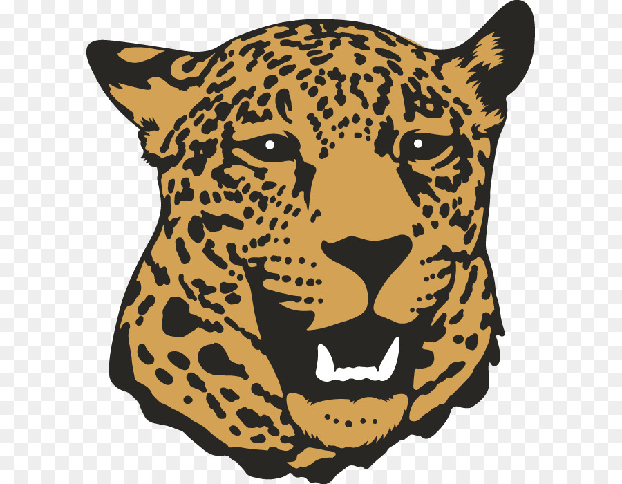Leopard，Tshirt PNG