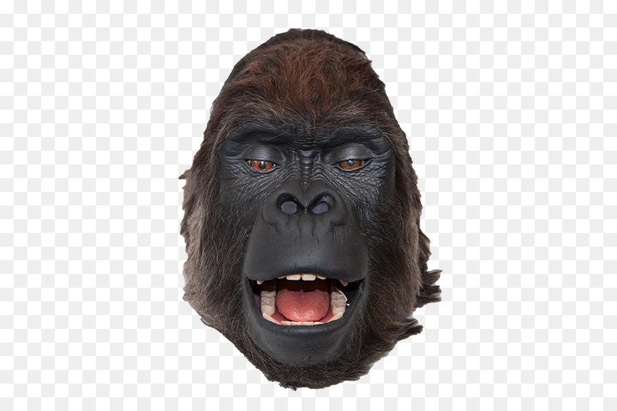 Masque De Singe，Costume PNG