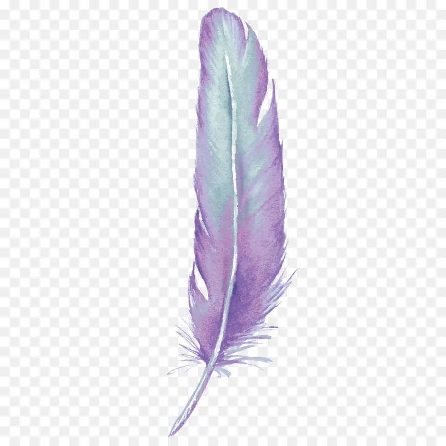 Plume Violette，Oiseau PNG