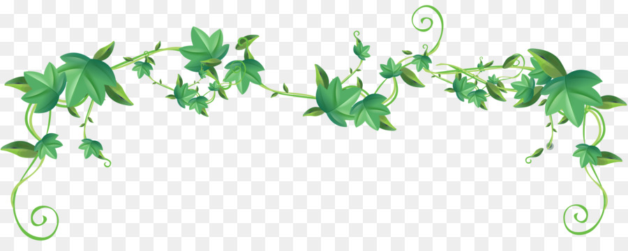 Feuilles De Lierre，Vert PNG