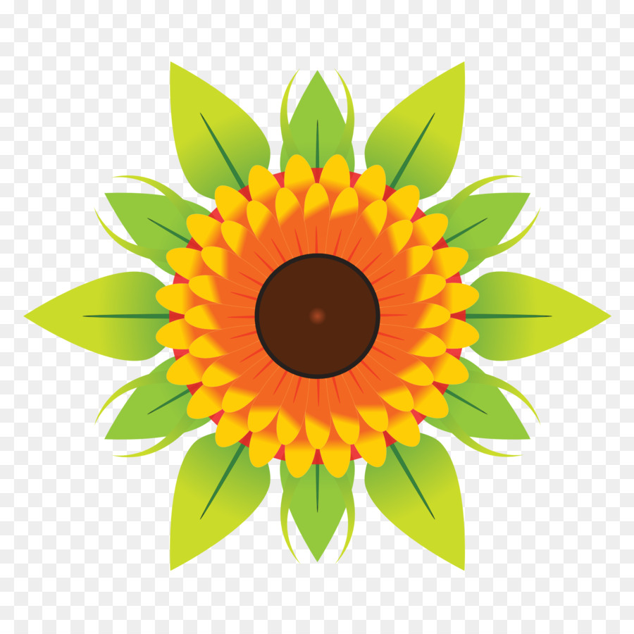 Tournesol Jaune，Usine PNG