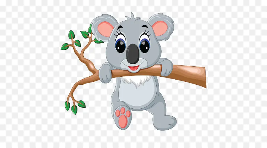 Koala Mignon，Arbre PNG