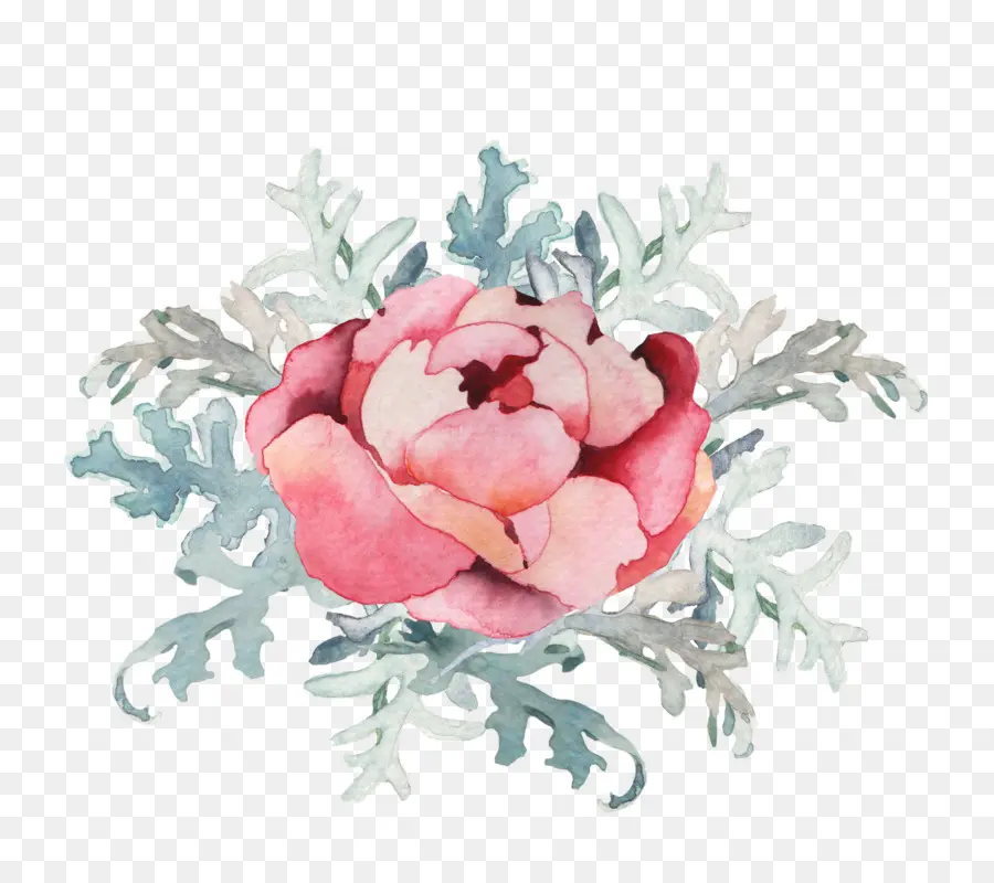 Fleur，Floraison PNG