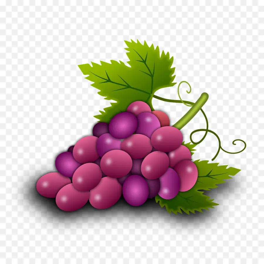 Raisins，Bouquet PNG