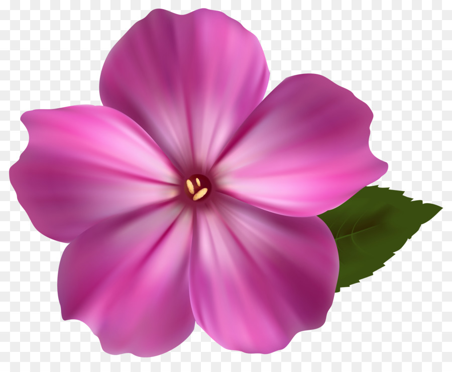 Fleur Violette，Fleurir PNG