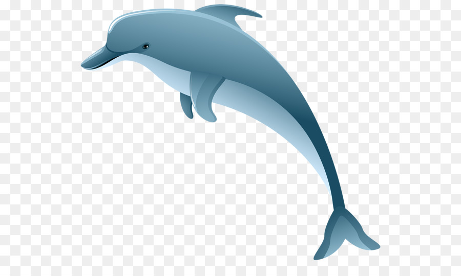 Dauphins De Dessin Animé，Marin PNG