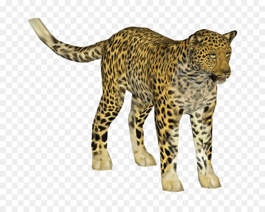 Indien Leopard，Le Guépard PNG