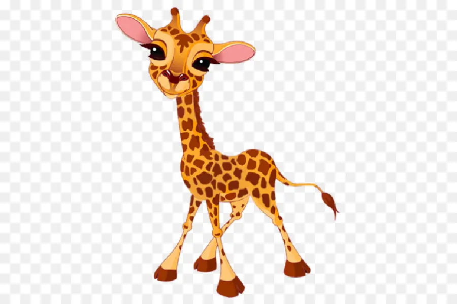 Girafe，Bébé Girafes PNG