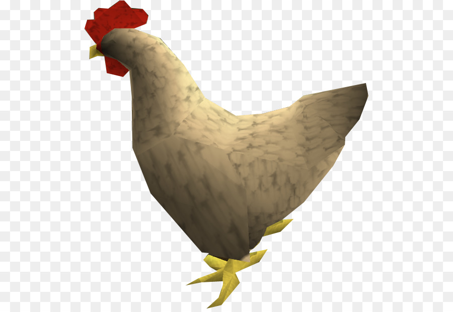 Poulet Blanc，Poule PNG