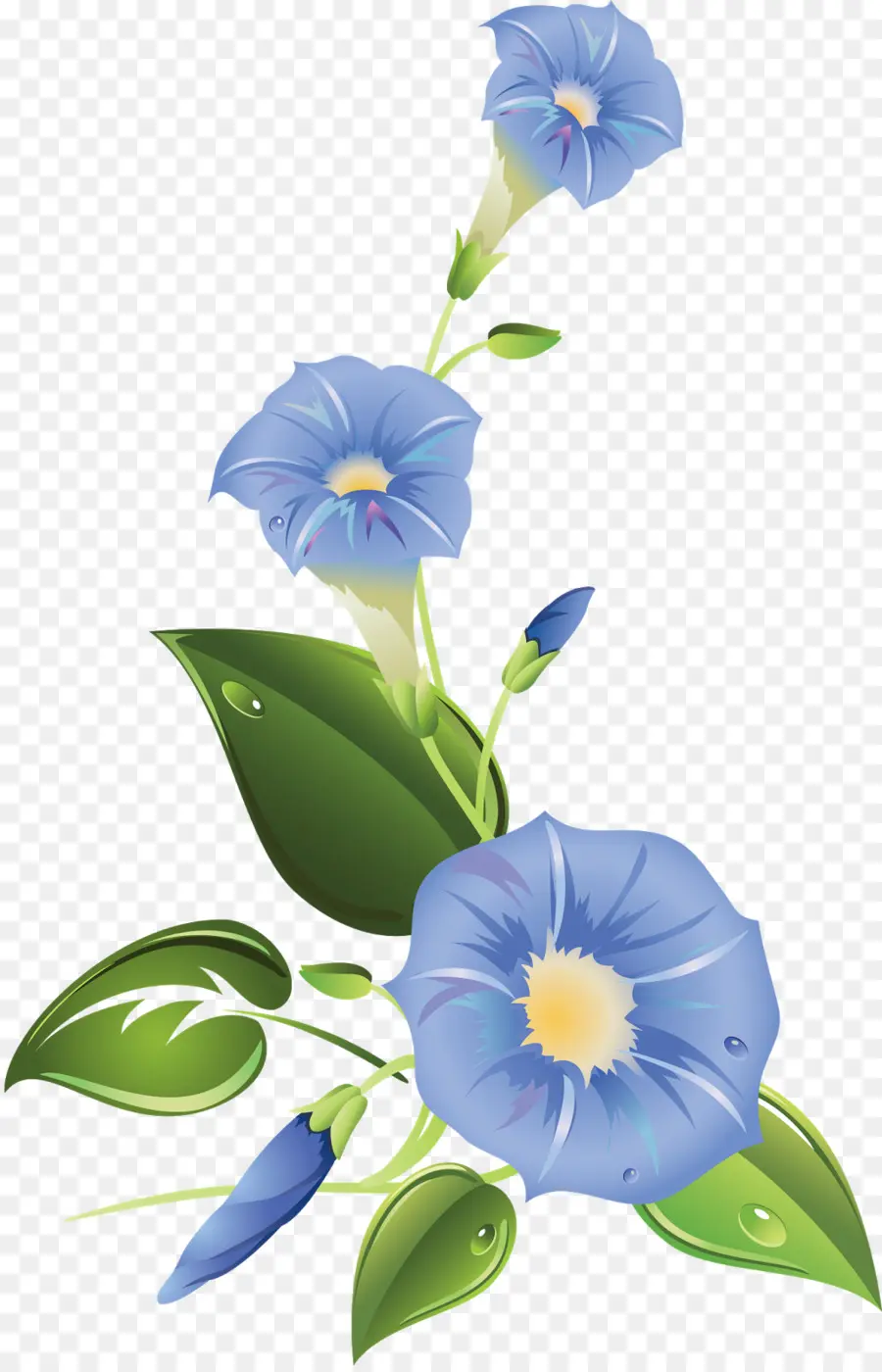 Fleurs Bleues，Feuilles PNG