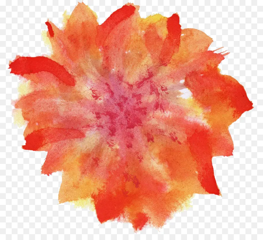 Fleur Aquarelle，Peinture PNG