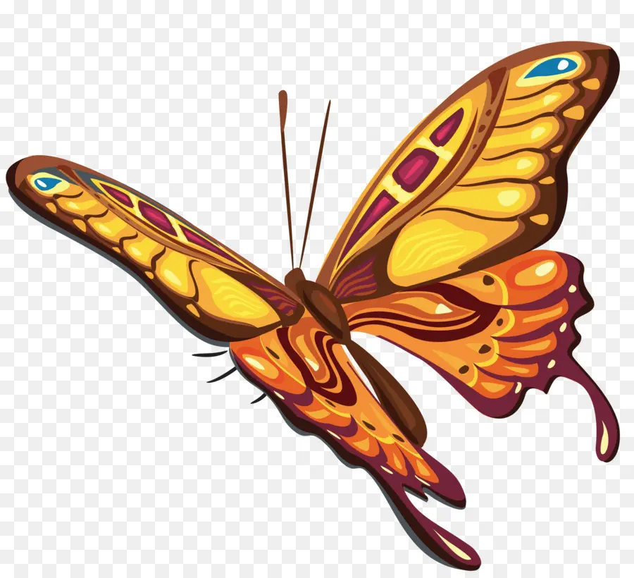 Papillon，Coloré PNG