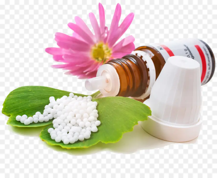 Médecine Homéopathique，Fleur PNG