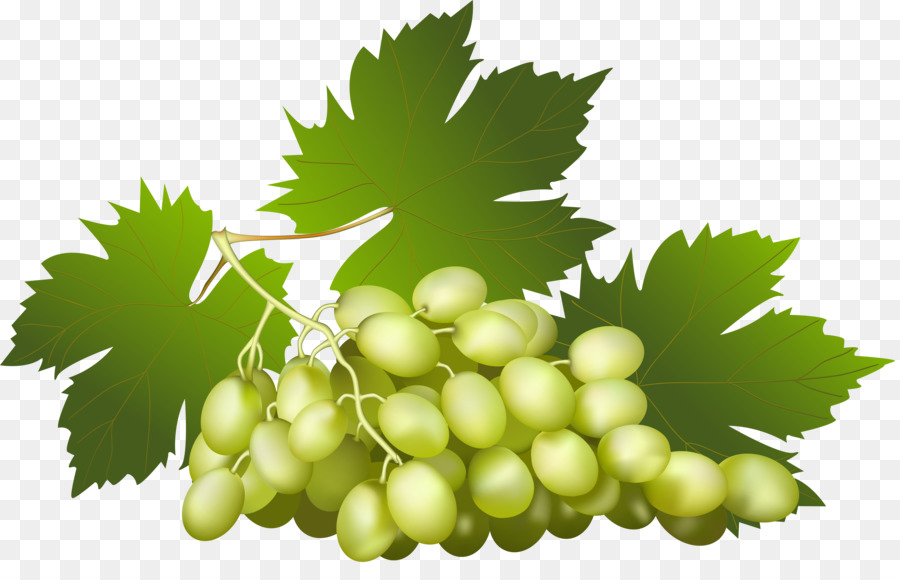 Raisins Verts，Vigne PNG