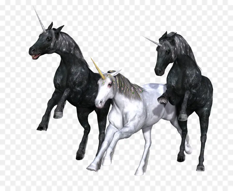 Licorne，Noir PNG