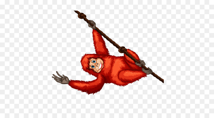 Singe，Corde PNG