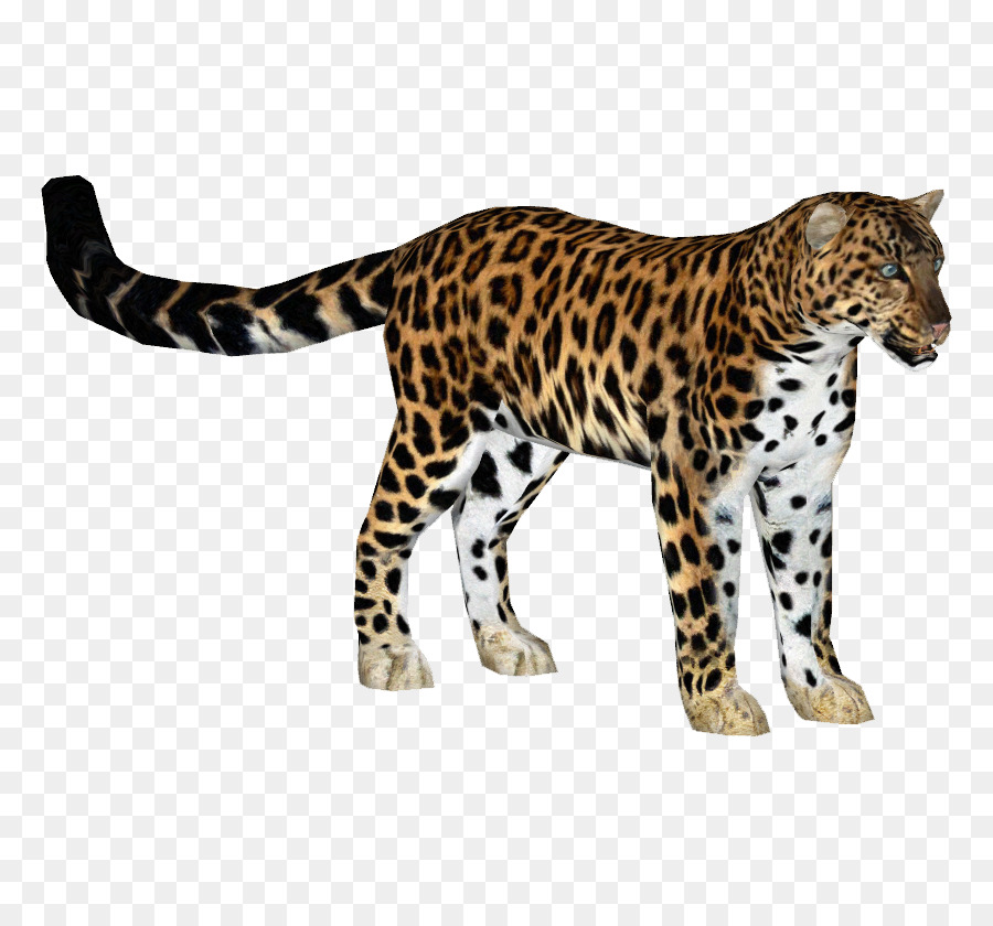 Guépard，Taches PNG