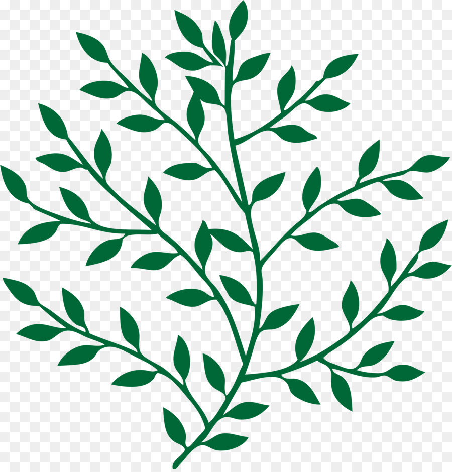 Plante Verte，Feuilles PNG