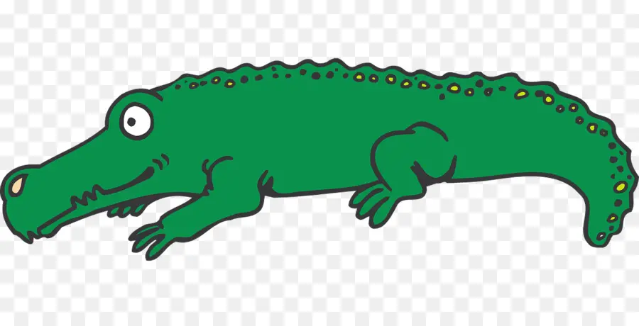 Alligator Vert，Reptile PNG