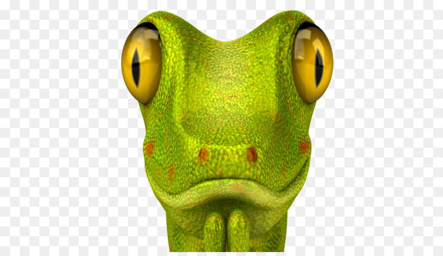 Grenouille Verte，Grenouille PNG