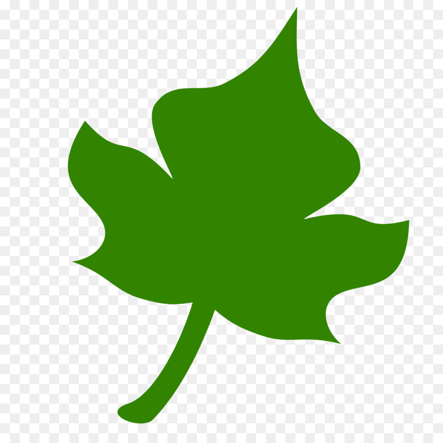 Feuille，Usine PNG