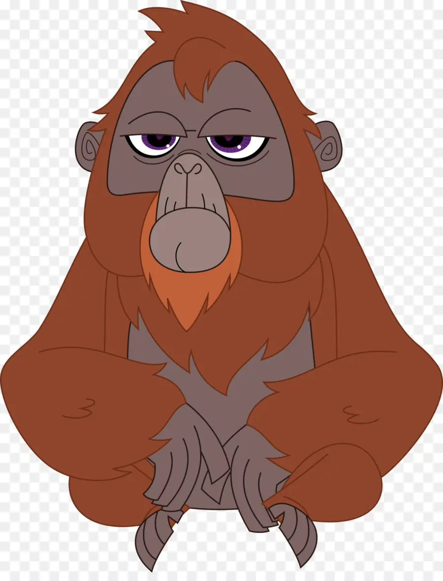 Orang Outan De Dessin Animé，Singe PNG