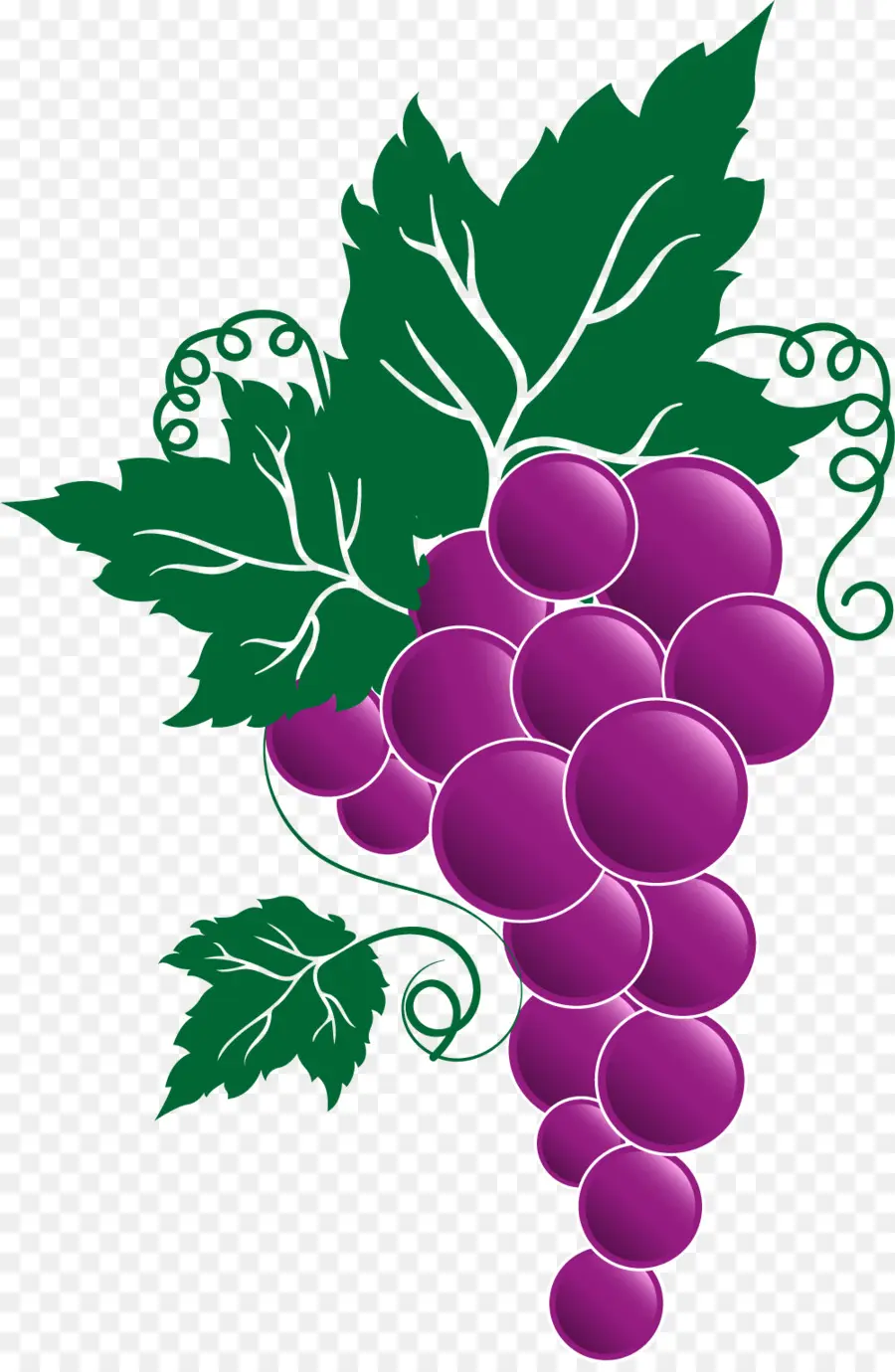 Raisins，Vigne PNG