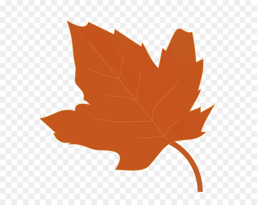 Feuille Rouge，Automne PNG