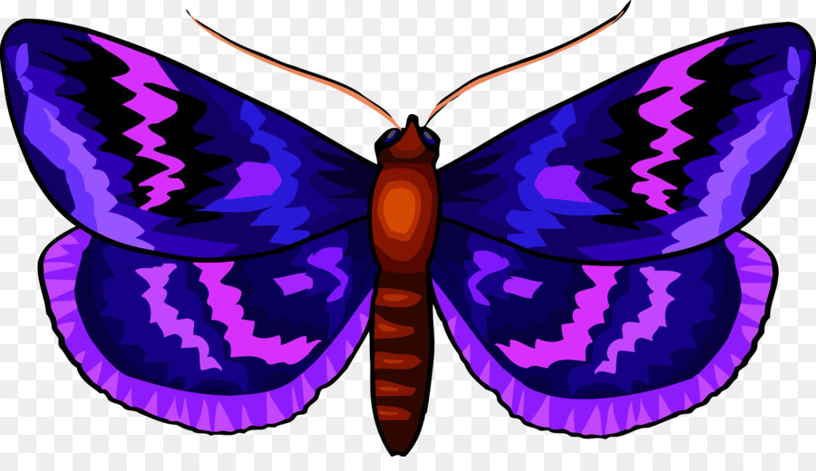 Papillon Violet，Ailes PNG