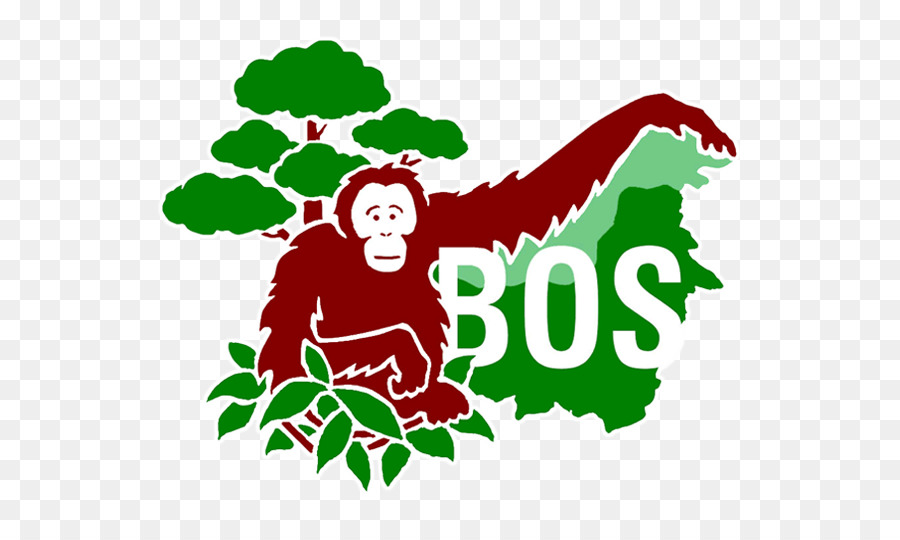 Logo De L'orang Outan，Animal PNG