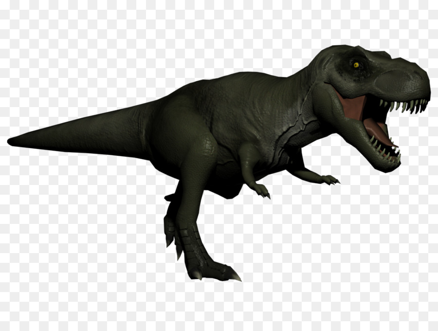 Dinosaure，Dents PNG