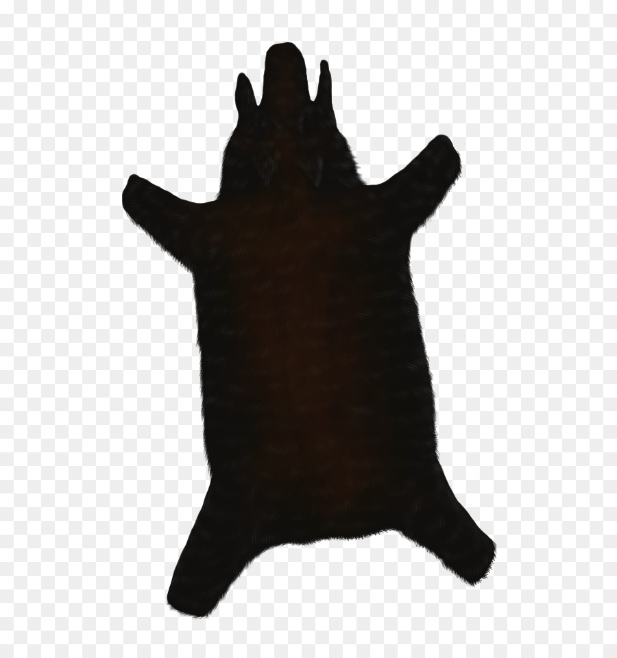 Animal，Museau PNG