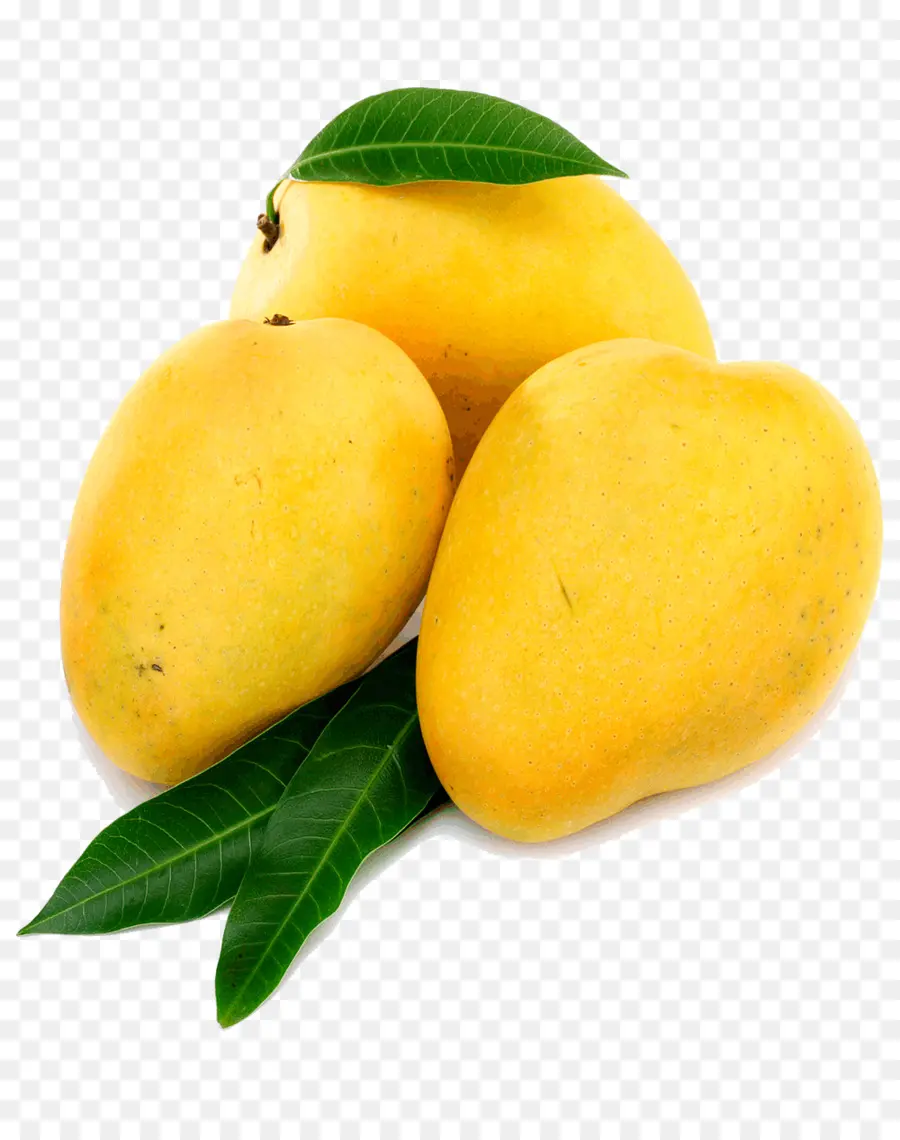 Mangue，Tropical PNG