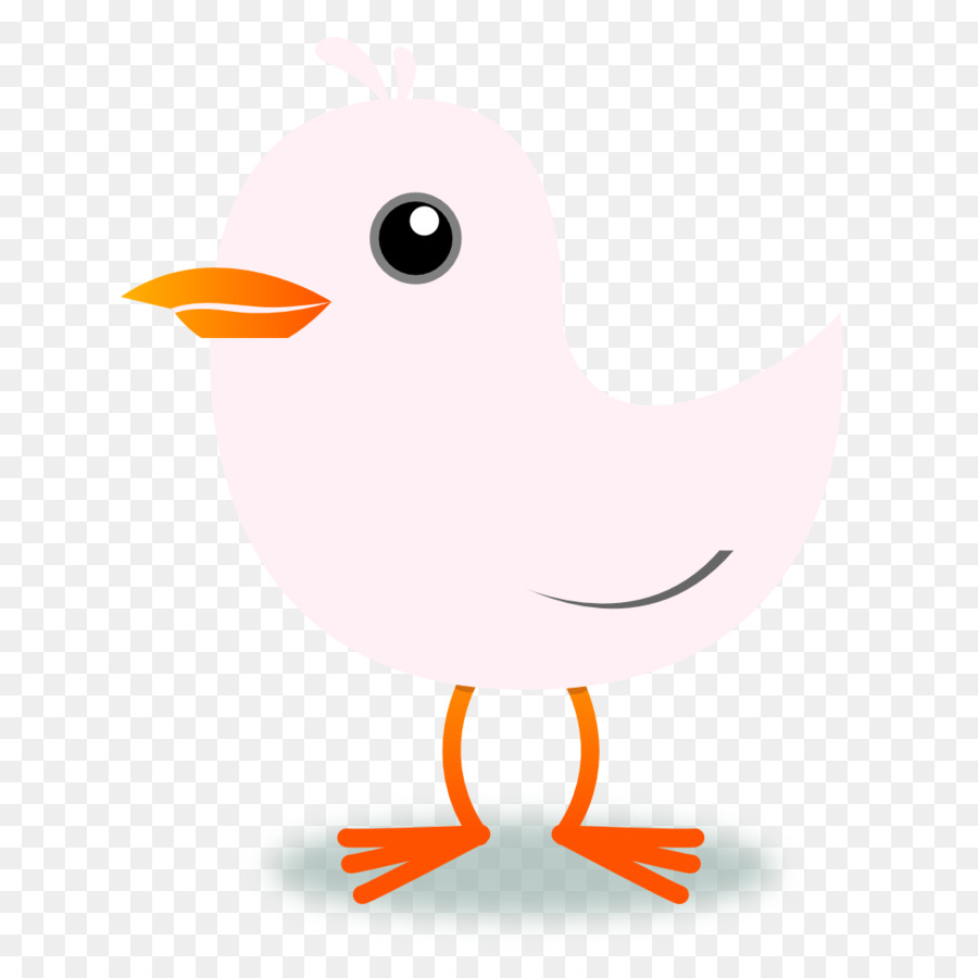 Oiseau Rose，Dessin Animé PNG