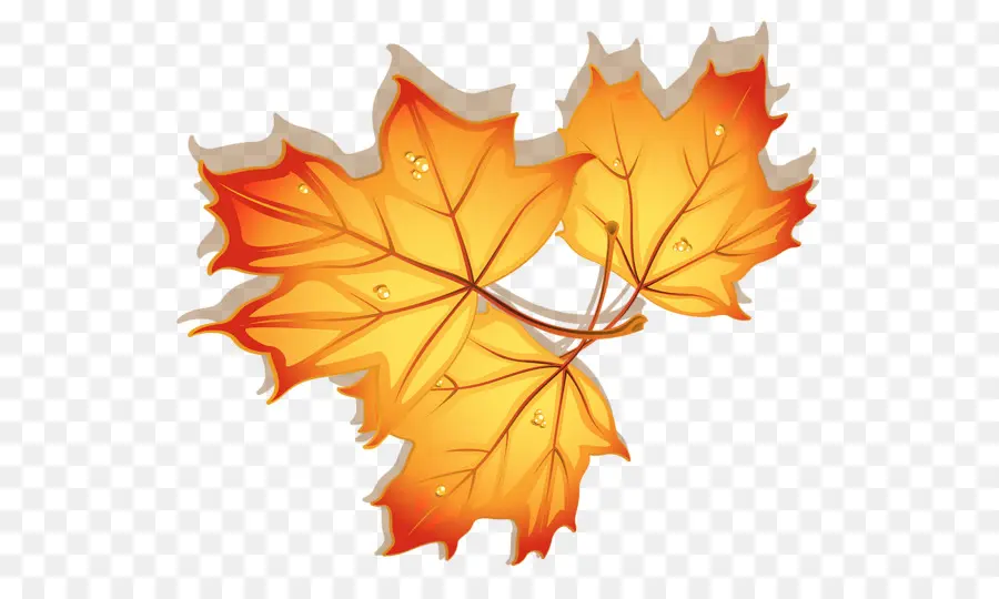 Feuille，Automne PNG