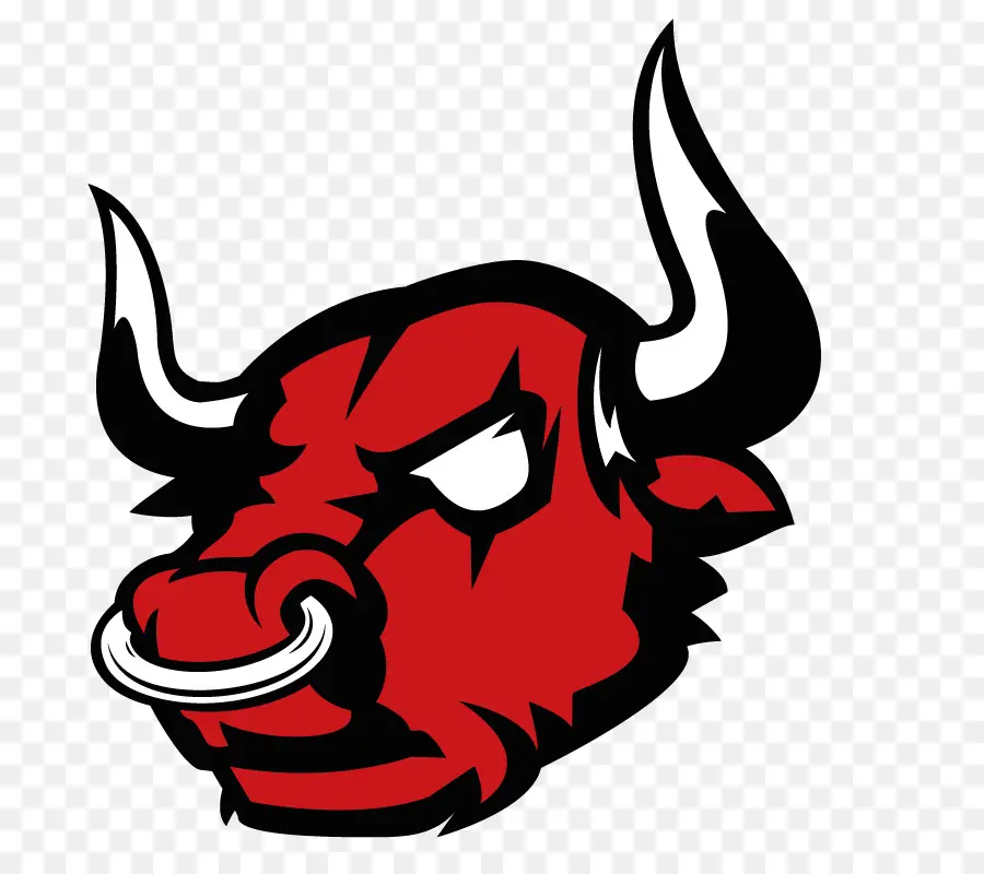 Barletta，Bulls De Chicago PNG