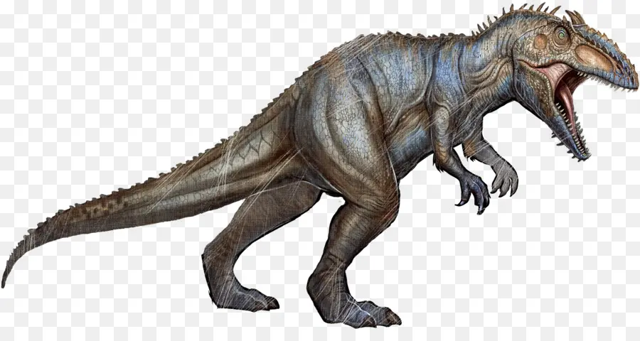 La Survie De L'arche A évolué，Giganotosaurus PNG