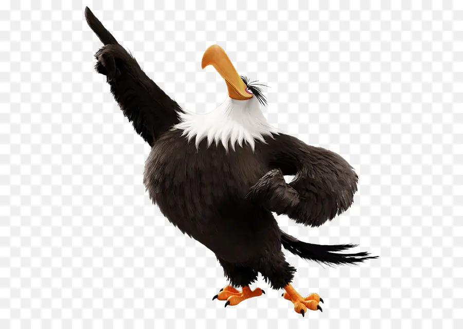 Aigle De Dessin Animé，Oiseau PNG