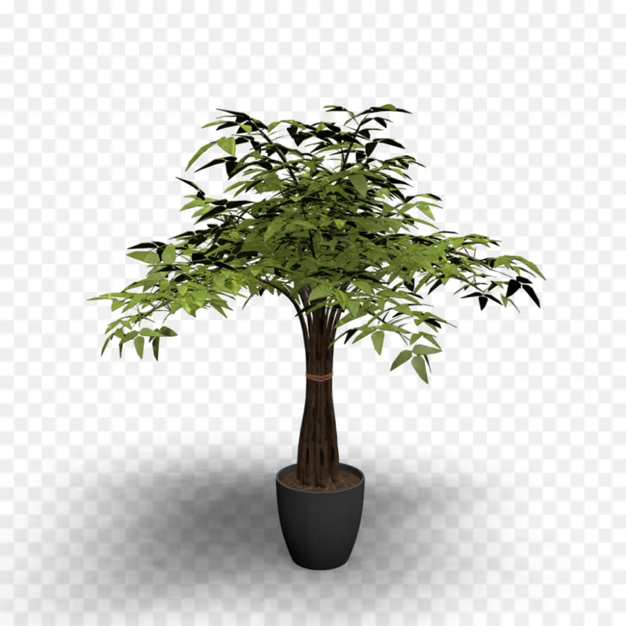 Arbre En Pot，Feuilles Vertes PNG