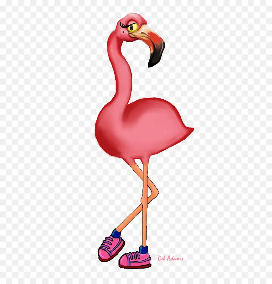 Flamant Rose，Chaussures PNG