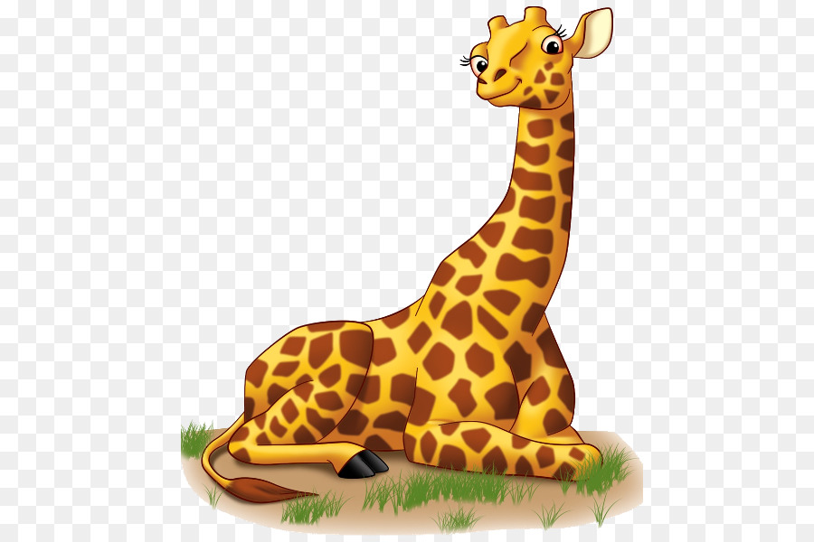 Girafe，La Gentillesse PNG