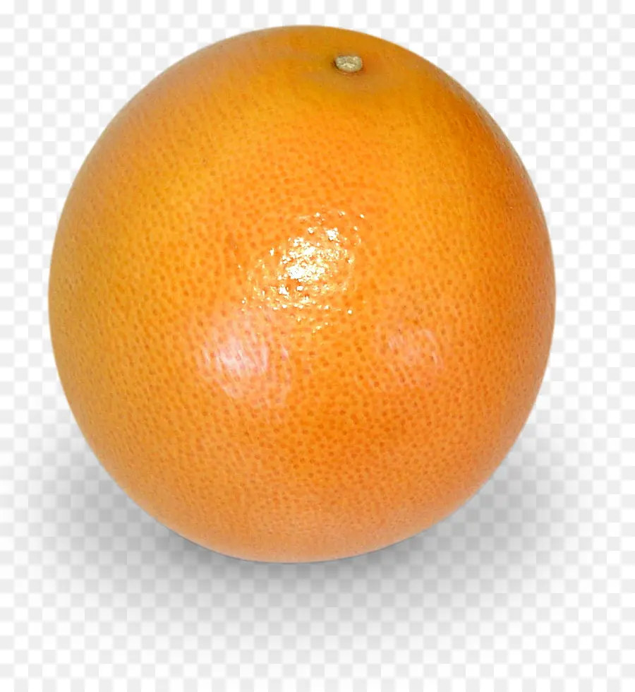 Orange，Rond PNG