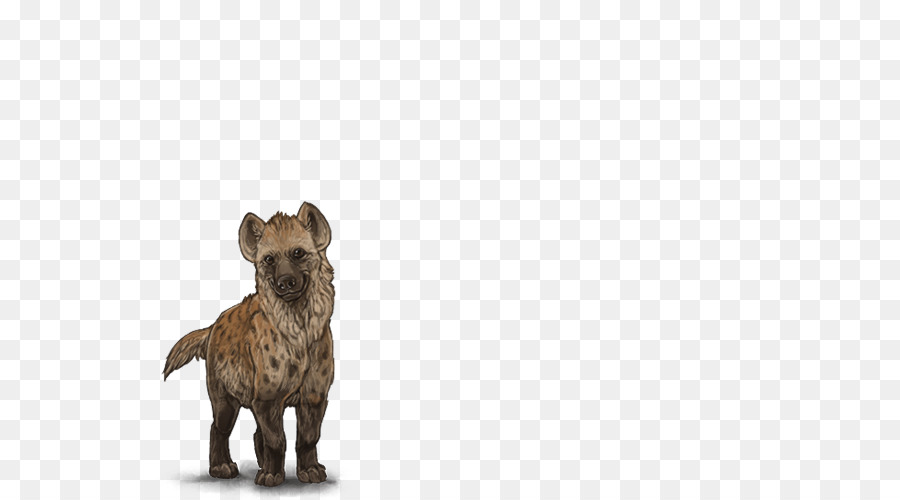 Terrier De Cairn，La Hyène PNG